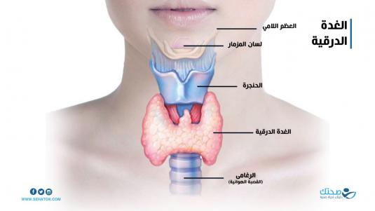 الغدة الدرقية