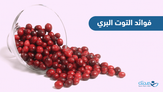 فوائد التوت البري.