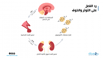 التوتر