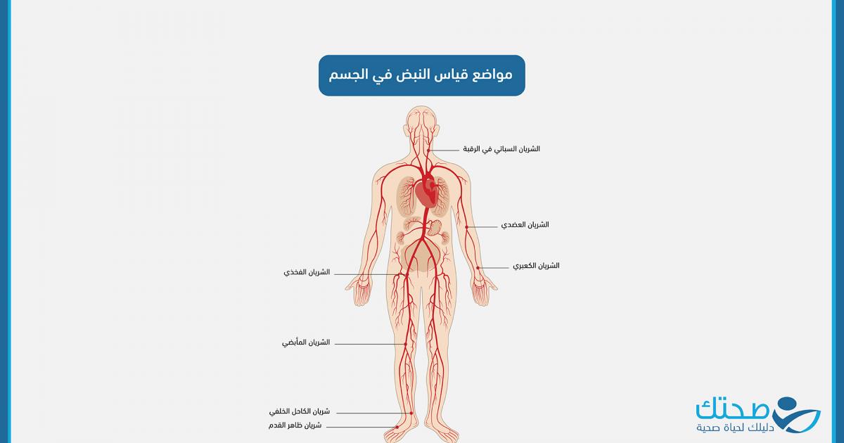 أماكن النبض للعطر: دليل شامل لعشاق العطور والعود